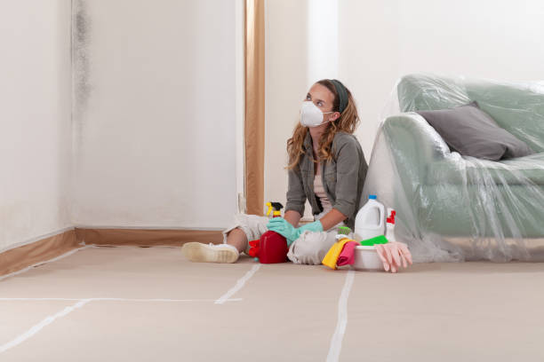 Reliable Mold Removal contractor in West Olive, MI by WQB Mold Removal